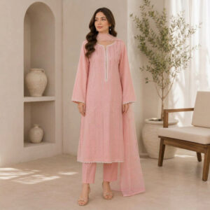 Blush Pink Embroidered 3-Piece Stitched Suit with Dupatta