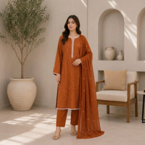 Rust Orange Printed & Embroidered 3-Piece Stitched Suit with Dupatta