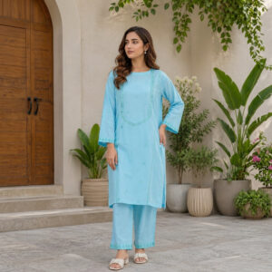 Sky Blue Embroidered 2-Piece Stitched Suit for Women